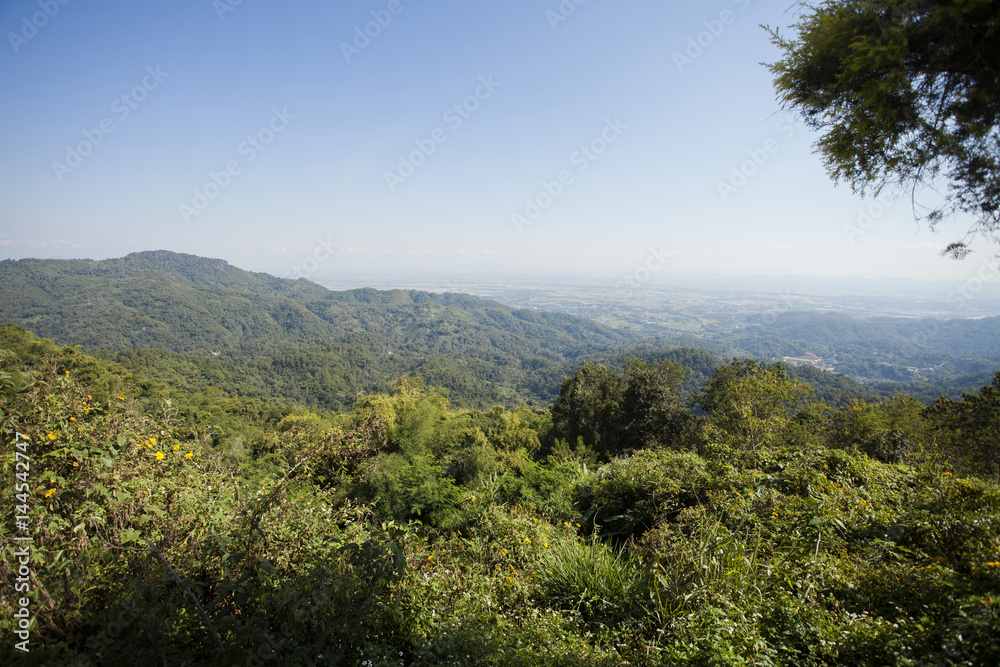 Fototapeta premium Beautiful flower