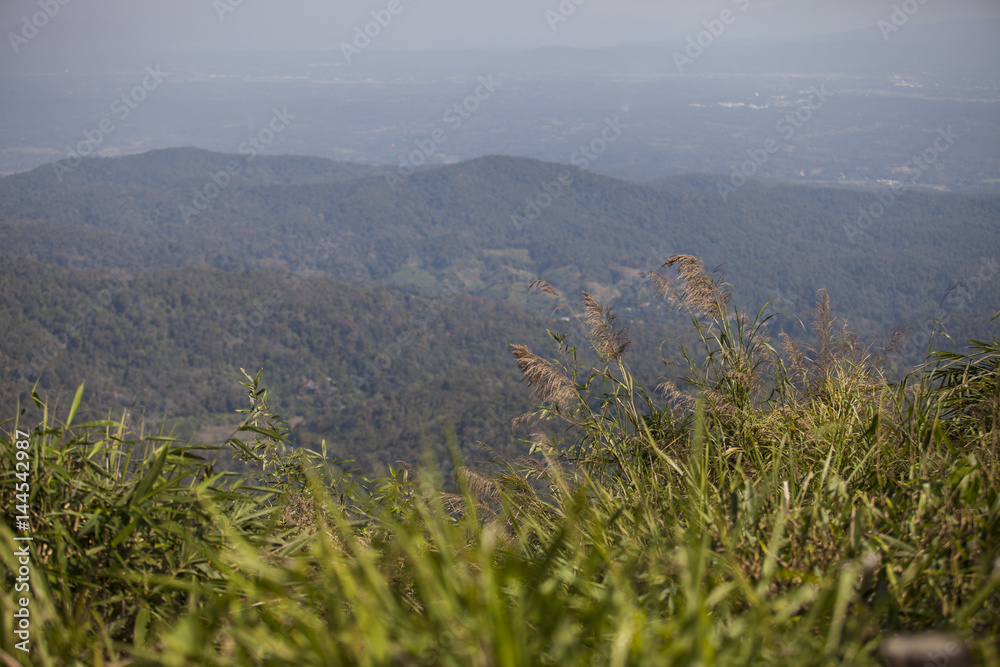 Beautiful cooling moment with Fog on the Mountain Beautiful cooling moment with Fog on the Mountain