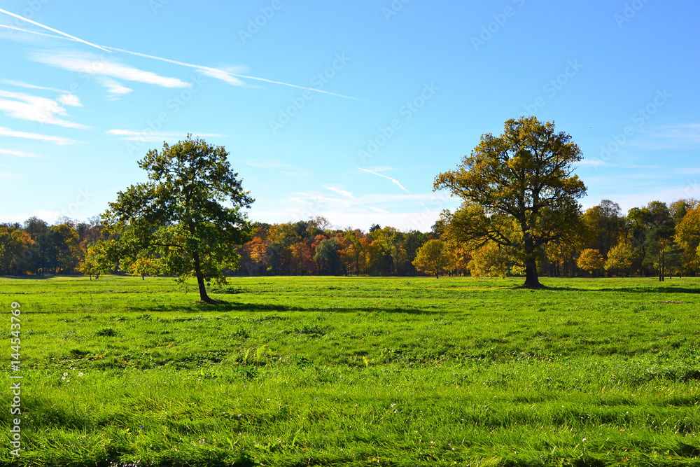 Fototapeta premium Landscape