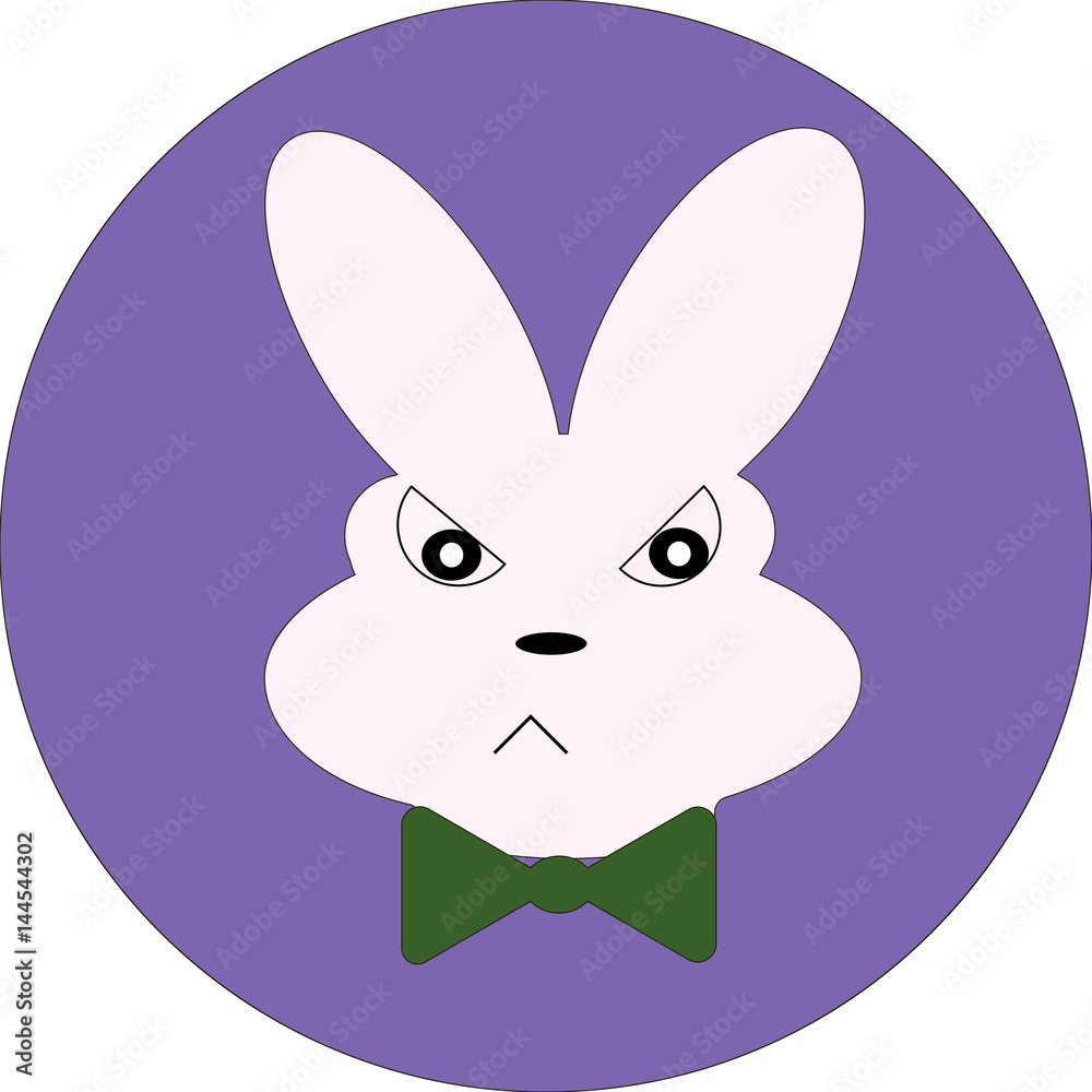 cute rabbit faces cute rabbit faces