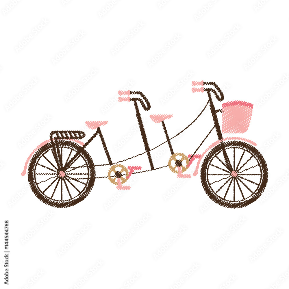 retro bicycle with basket vector illustration design