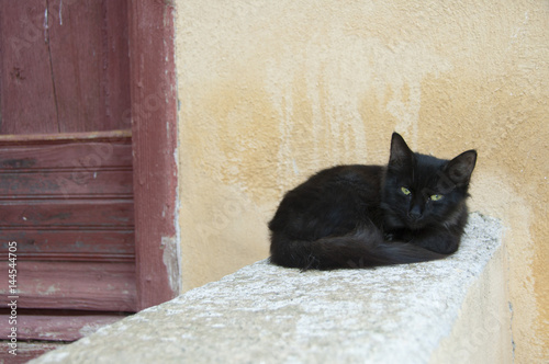 Fototapeta Naklejka Na Ścianę i Meble -  A black cat on the streets of Corsica France