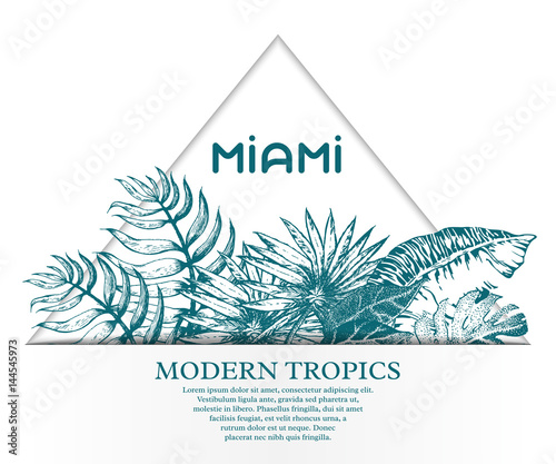 Palm Leaf Sketch11