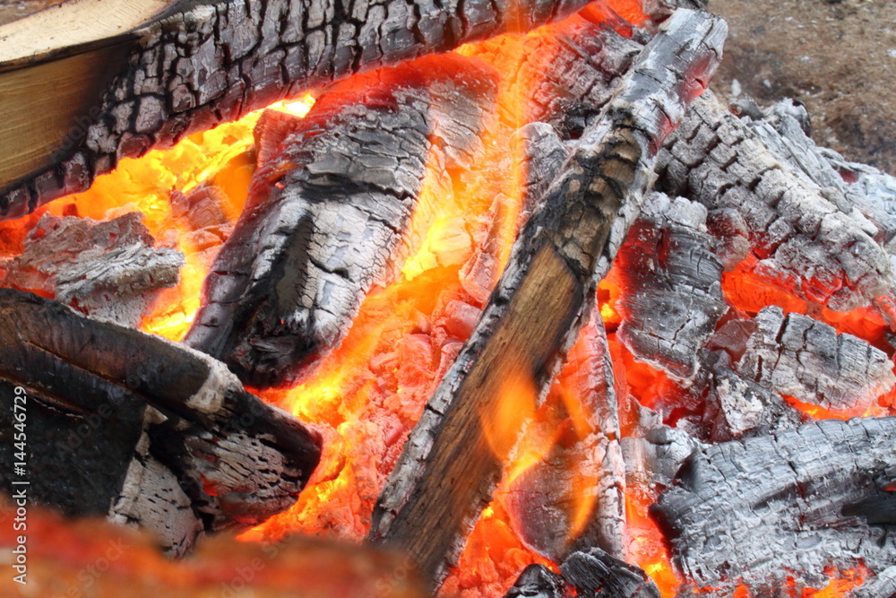 A closeup of a warm campfire A closeup of a warm campfire