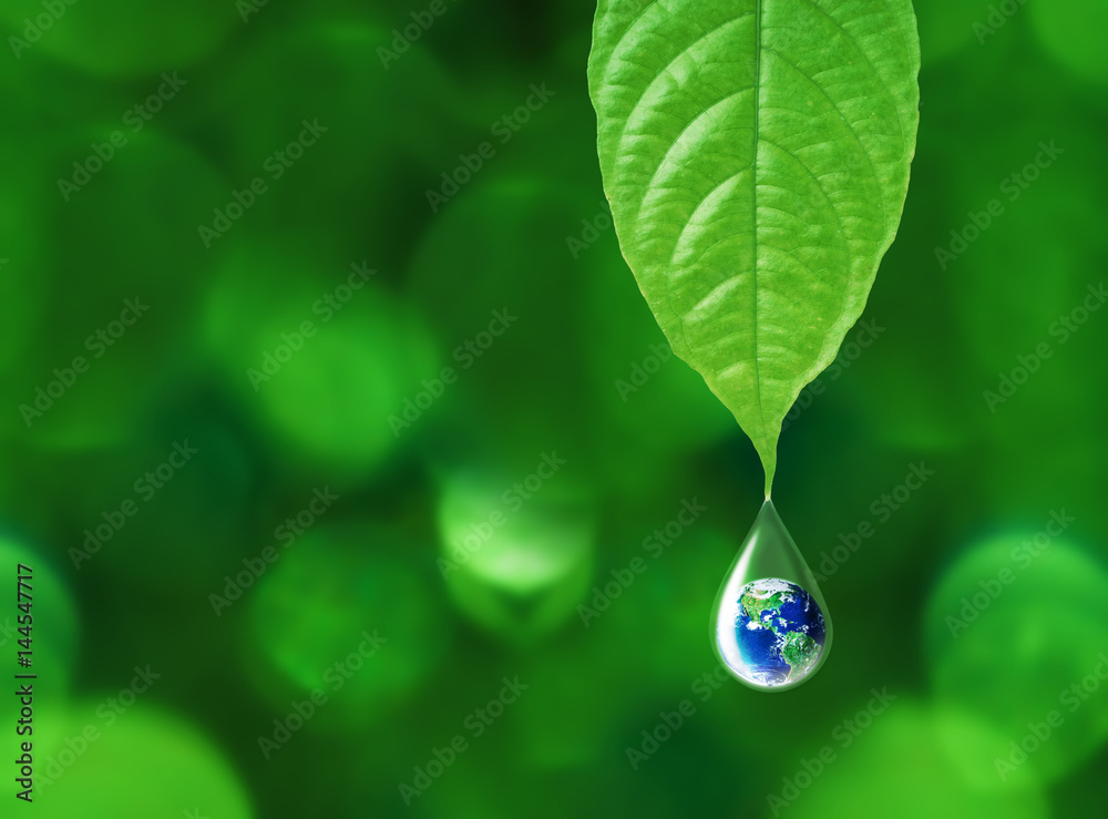 Earth in water drop reflection under green leaf, water and environment
