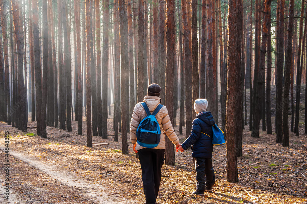 Fototapeta premium mother and son stroll through the fabulous pine forest into the light,Mother and baby walk on country rural road in pine forest