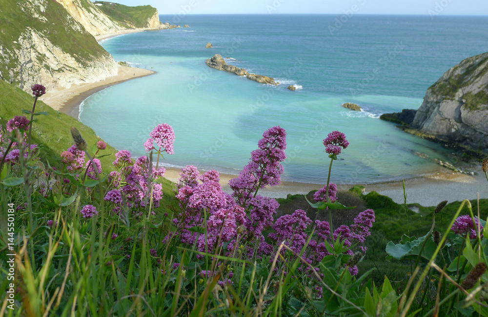 Φωτογραφία Man of War Bay near Durdle Door, Dorset, England UK The Jurassic coast a UNESCO