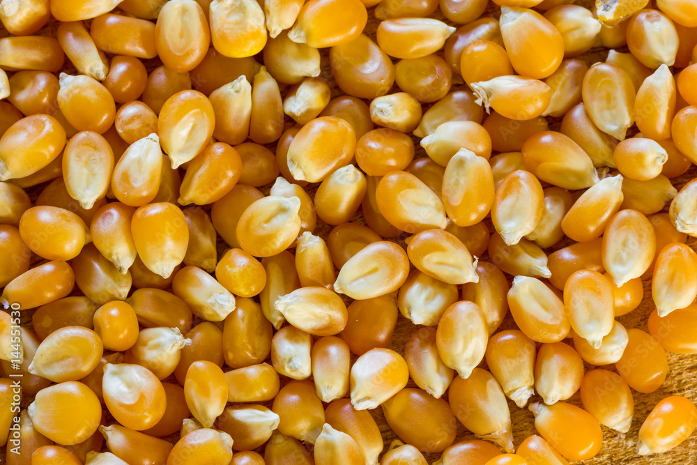 Corn for popcorn Corn for popcorn