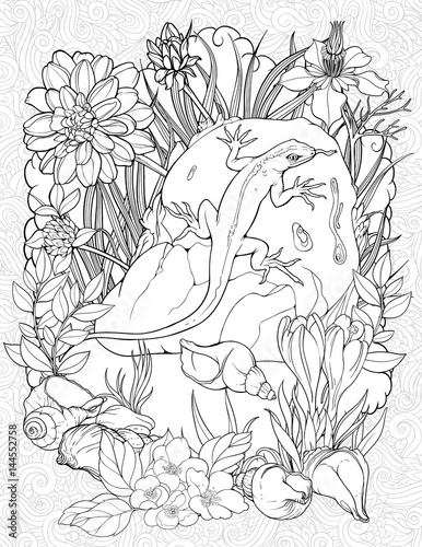 coloring page with a lizard on a stone