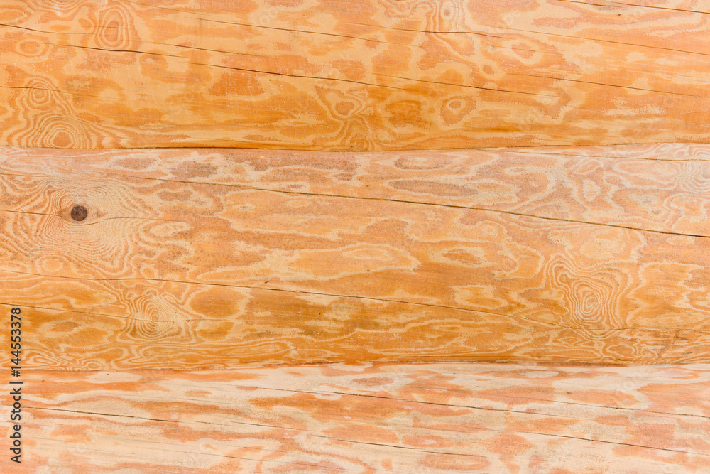 Background of larch logs