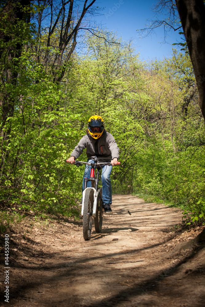 Fototapeta premium man ride mountain bike through forest