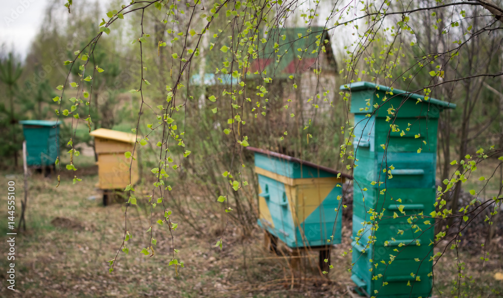 An apiary from a few beehives stands on nature. An apiary from a few beehives stands on nature.