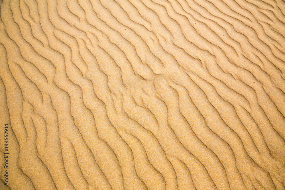 Sandy waves, beach on Ceylon coast Sandy waves, beach on Ceylon coast