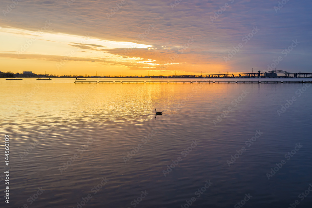 Deep golden colorful sunrise over violet tranquil lake, bird, boat slips and bridge silhouetted against intense colors Deep golden colorful sunrise over violet tranquil lake, bird, boat slips and bridge silhouetted against intense colors