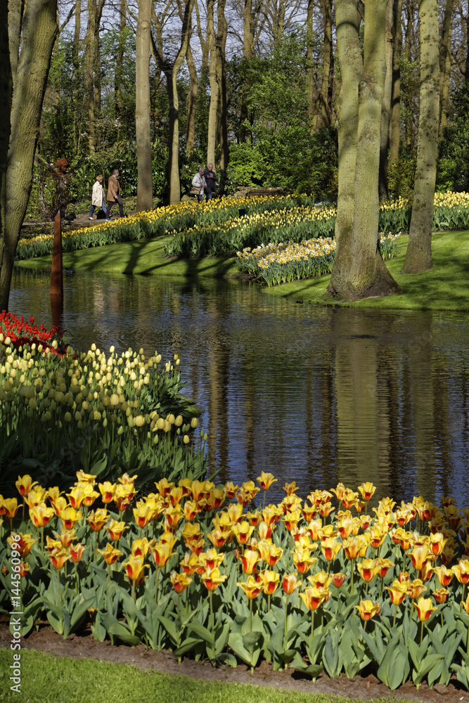 blooming garden in spring on a sunny day