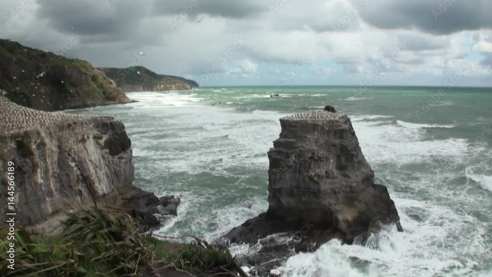 Seascape on background of horizon, clouds in sky and rocks New Zealand. Beautiful background of amazing nature. Travel and tourism in the world of wildlife. Seascape on background of horizon, clouds in sky and rocks New Zealand. Beautiful background of amazing nature. Travel and tourism in the world of wildlife.