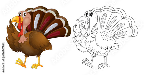 Animal outline for wild turkey