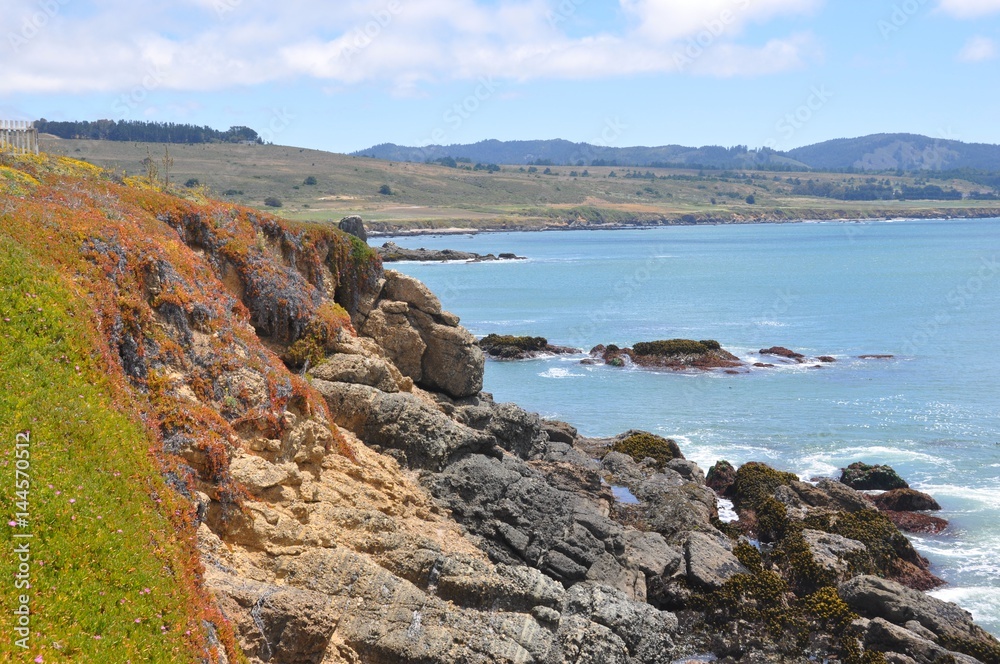 Naklejka premium Central California Coast 2