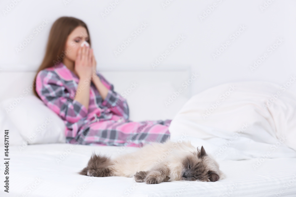 Animal allergy concept. Cat and blurred view of woman on bed