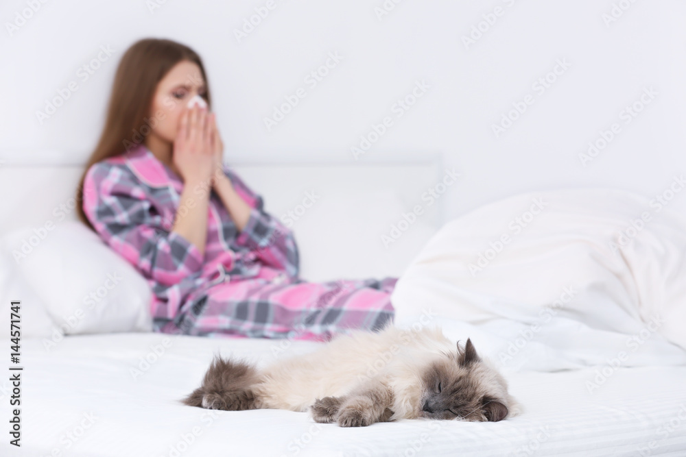 Animal allergy concept. Cat and blurred view of woman on bed Animal allergy concept. Cat and blurred view of woman on bed