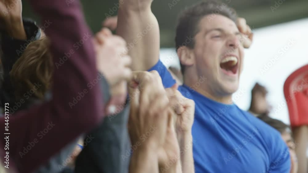  Excited sports crowd with national flags cheering on their teams