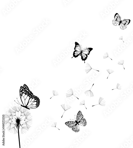 Naklejka Wektorowy dandelion z motylami