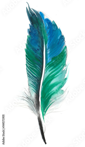 Green watercolor feather