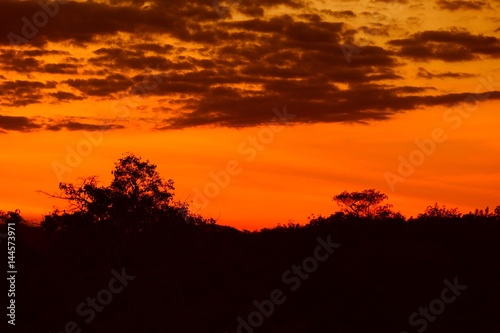 sunset beautiful colorful landscape and silhouette tree mountain in sky twilight time