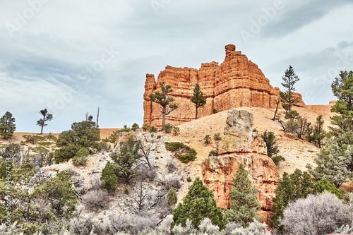 Incredibly beautiful landscape in Bryce Canyon National Park  Utah  USA.