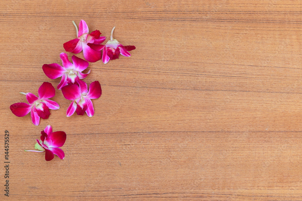 purple orchid beautiful on wooden floor board with copy space and text purple orchid beautiful on wooden floor board with copy space and text