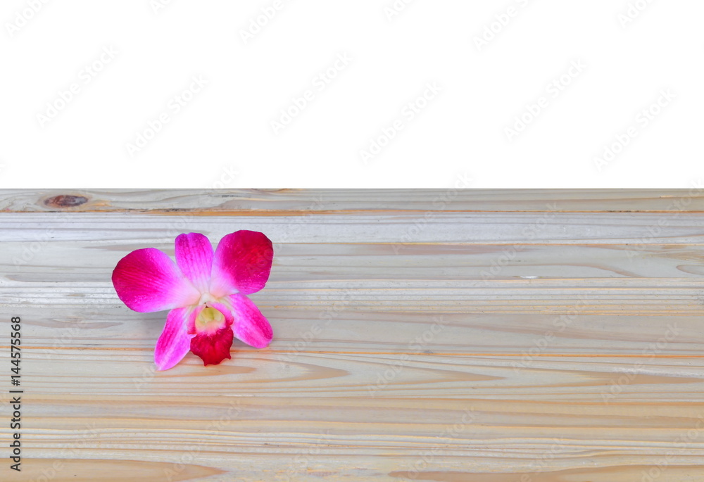 purple orchid beautiful on wooden floor board over white background with copy space and text purple orchid beautiful on wooden floor board over white background with copy space and text