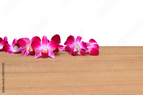 purple orchid beautiful on wooden floor board over white background with copy space and text