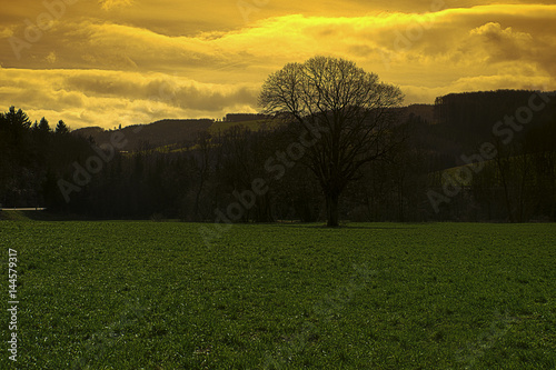 Kammerhof im März photo