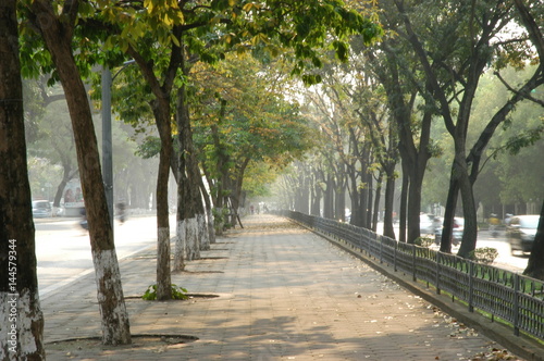 Peaceful and colorful lined trees path in the changing time of season in Hanoi, Vietnam, Asia