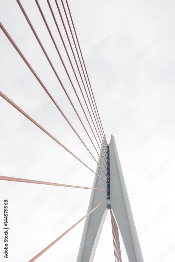 Mega sling and Elasticity of the bridge's string Bridge Mega sling and Elasticity of the bridge's string Bridge