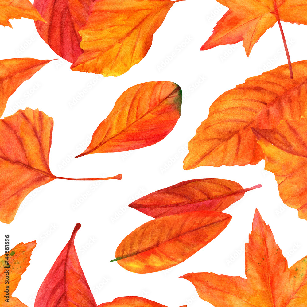 Fototapeta premium Wzór z żywymi liśćmi akwarela na białym backgro