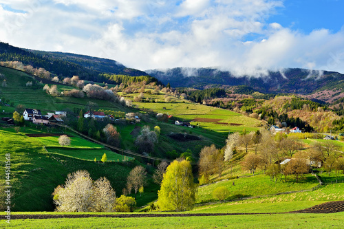 Spring landscape in Slovakia. Rural countryside in Polana region. Fields and meadows with blooming cherries