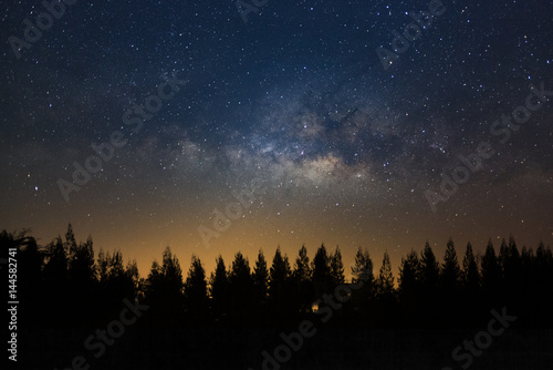 Beautiful milkyway and silhouette of pine tree on a night sky before sunrise
