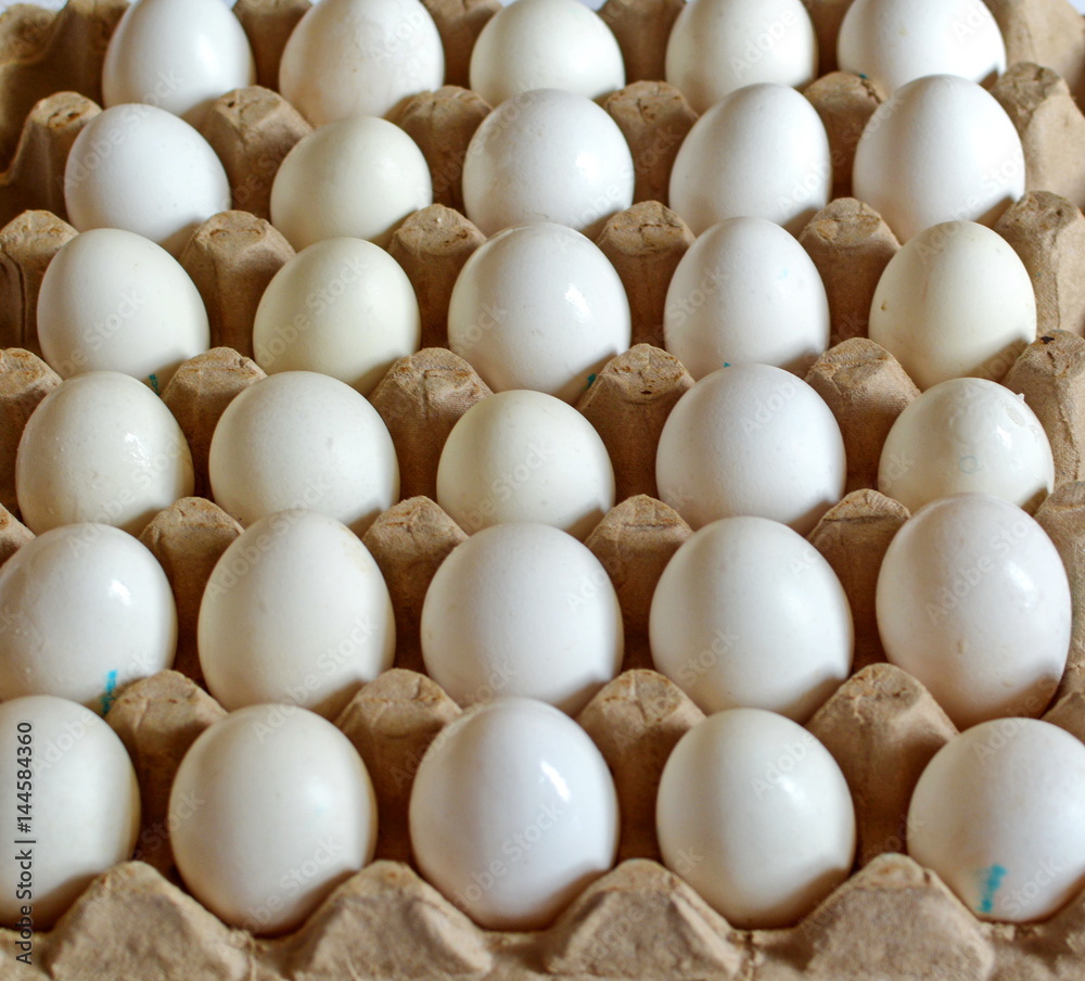 carton of white chicken eggs in neat rows carton of white chicken eggs in neat rows