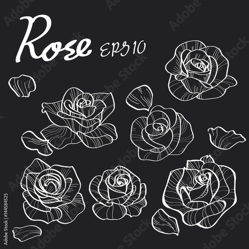 Rose handraw by chalk on blakboard background.