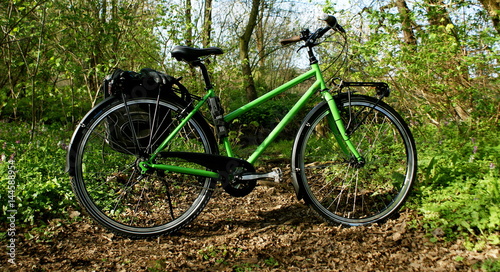 Female Bicycle in Springtime Forest