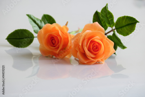 clay orange roses flower on white background