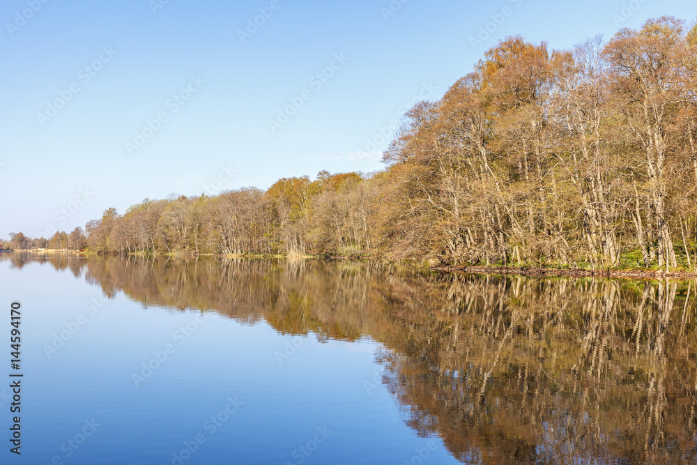 Forest lake with flat calm water