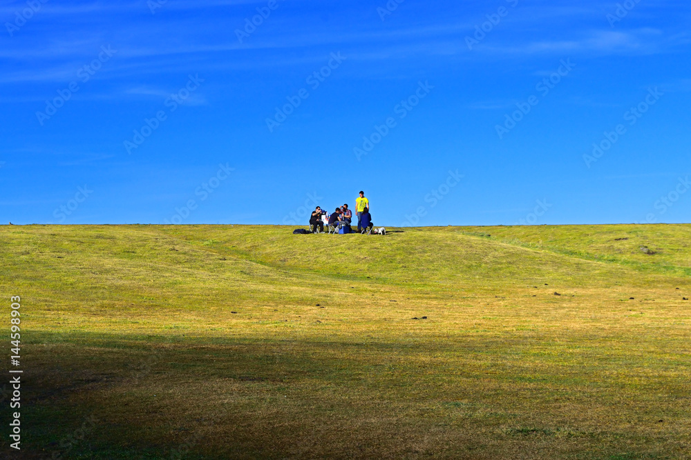 Picnic