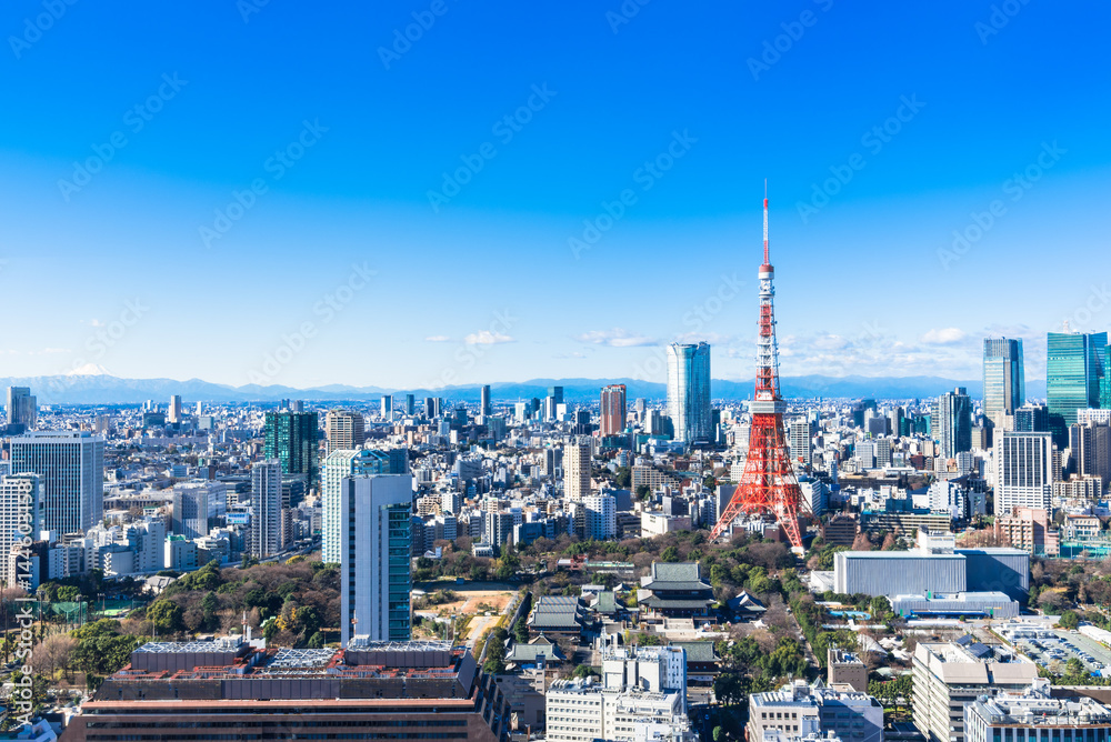 Obraz premium 東京タワーと都市風景