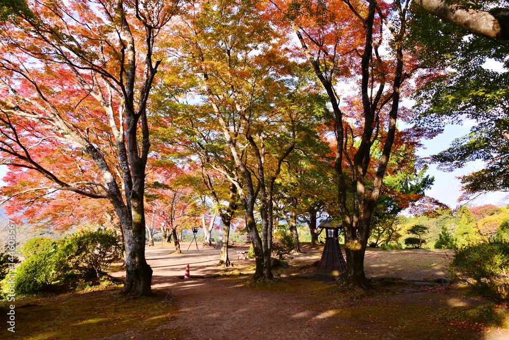 Naklejka premium 岡城の紅葉