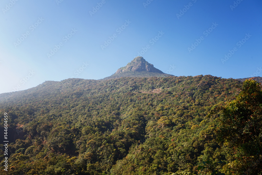 Beautiful landscape. Top of the mountain Sri Pada Adam's Peak. Sri Lanka.