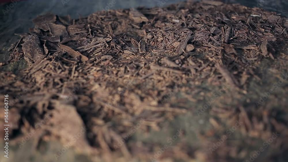 refocusing macro shot on pile of Chocolate chips. refocusing macro shot on pile of Chocolate chips.