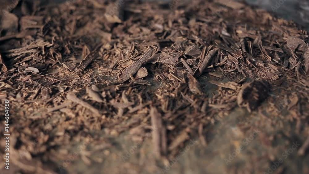 dolly shot of Chocolate chips. dolly shot of Chocolate chips.