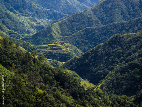 Rice terraces of Batad in Luzon, Philippines